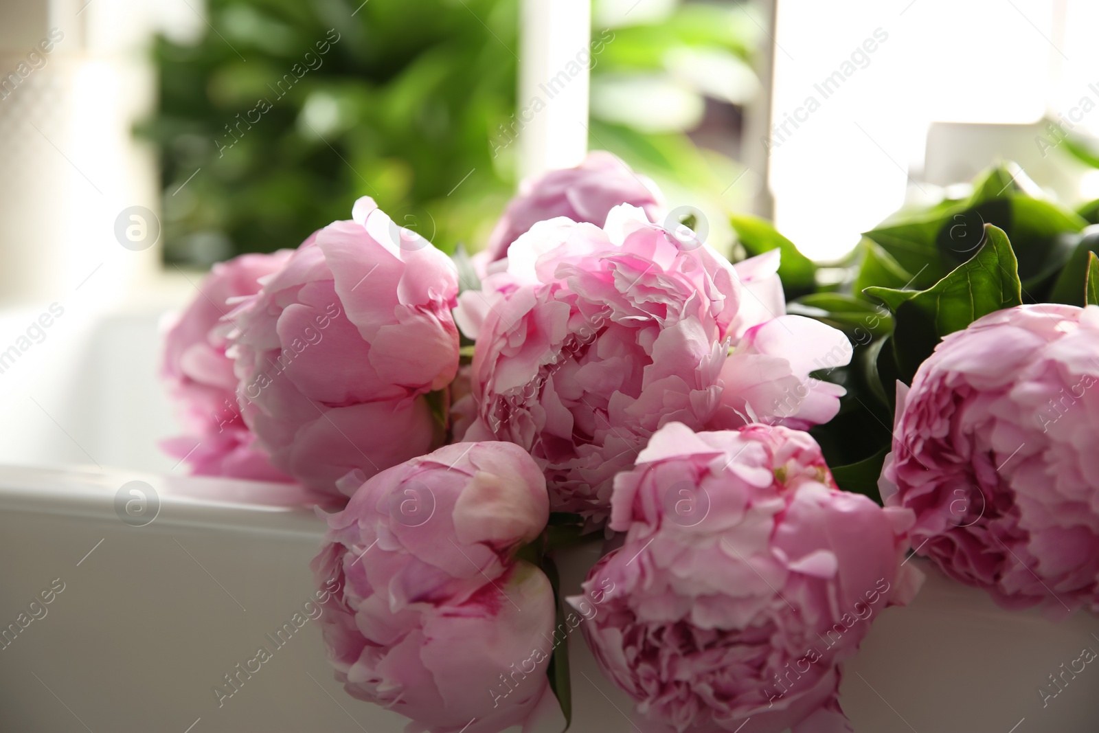 Photo of Bouquet of beautiful pink peonies on counter in kitchen, closeup