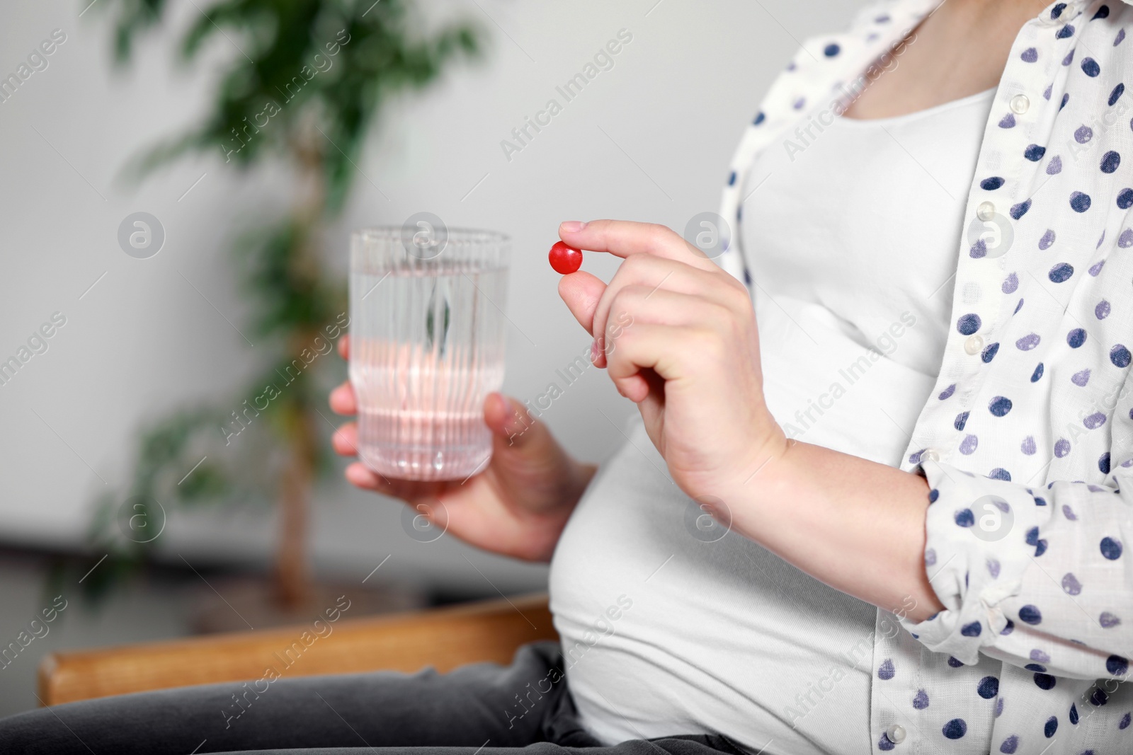 Photo of Pregnant woman holding pill and glass of water indoors, closeup