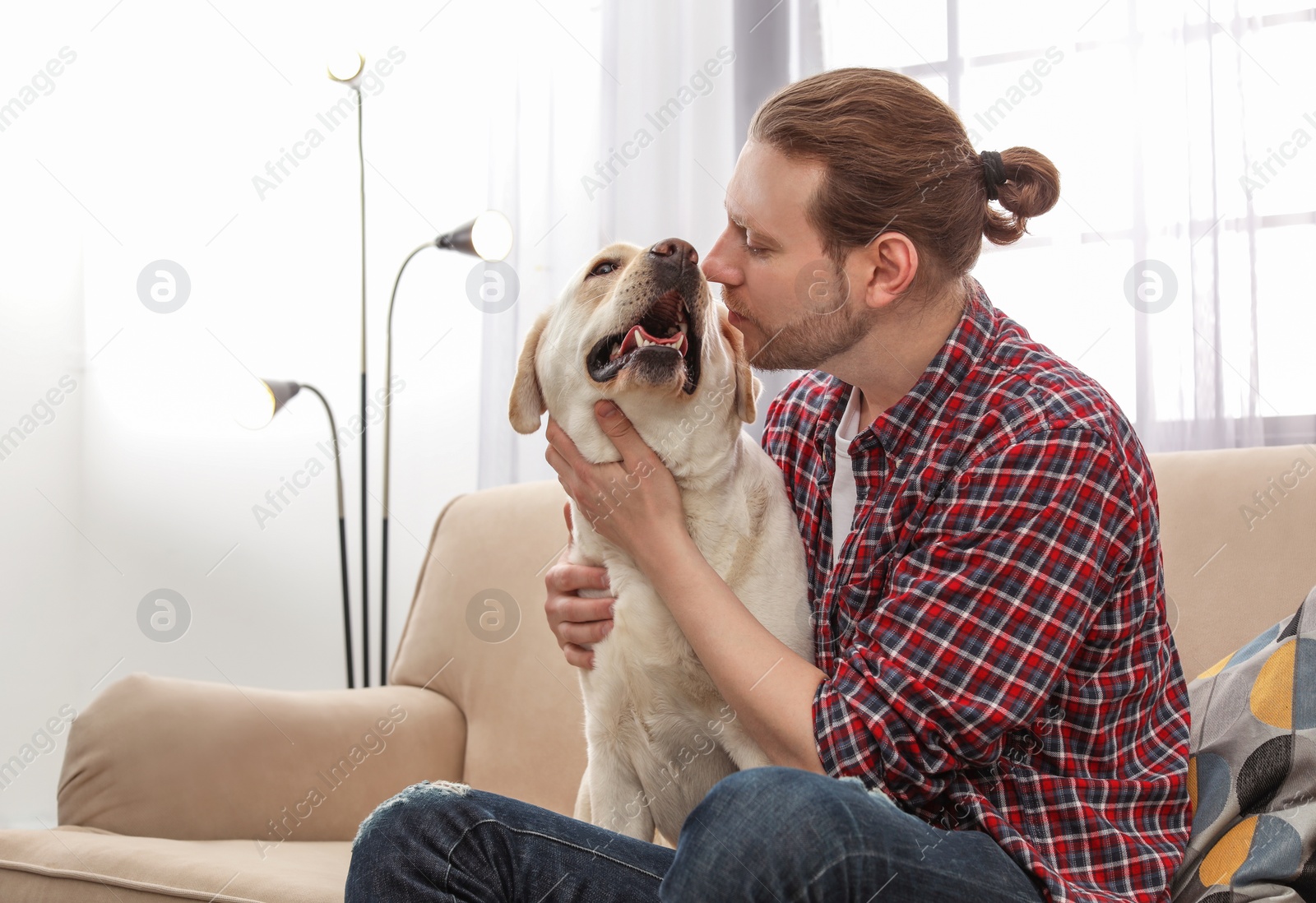 Photo of Adorable yellow labrador retriever with owner on couch indoors