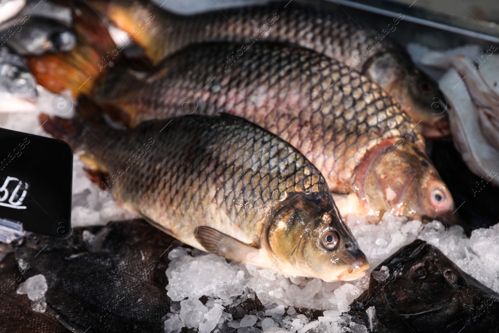 Photo of Fresh raw fish on ice in supermarket, closeup