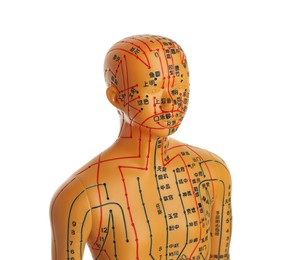 Acupuncture model. Mannequin with dots and lines isolated on white