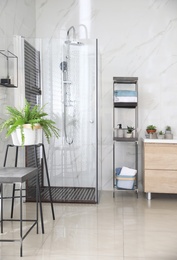 Bathroom interior with shower stall and shelving unit. Idea for design