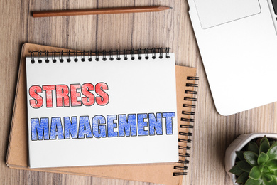 Image of Notepad with text STRESS MANAGEMENT, plant and laptop on wooden table, flat lay