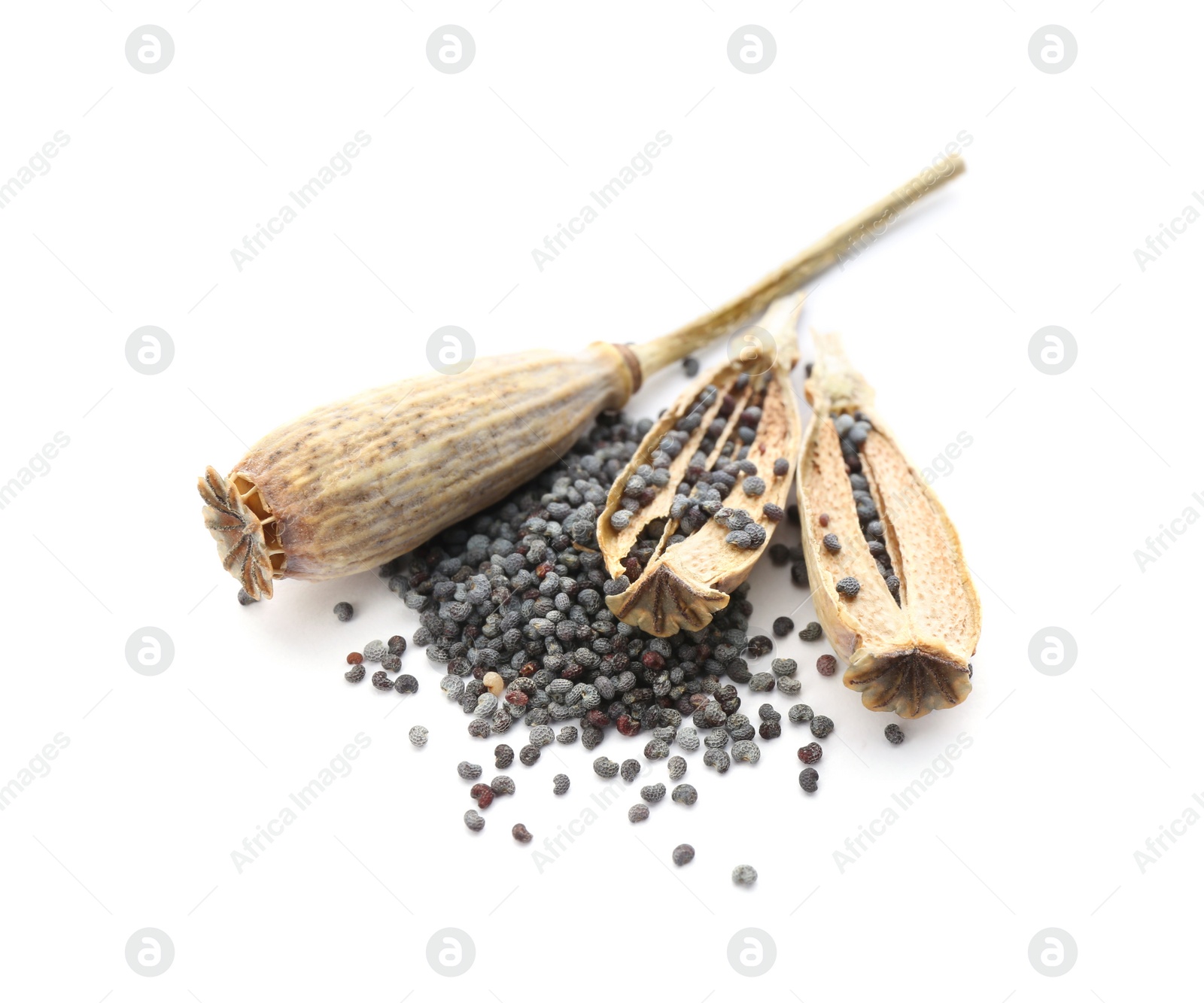 Photo of Dried poppyheads and seeds on white background