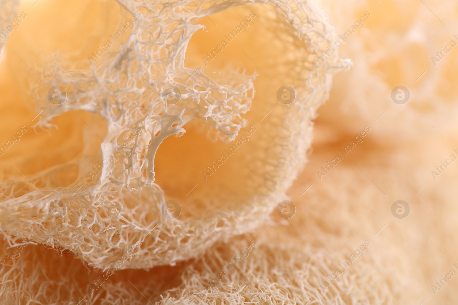 Photo of Natural loofah sponge as background, closeup view
