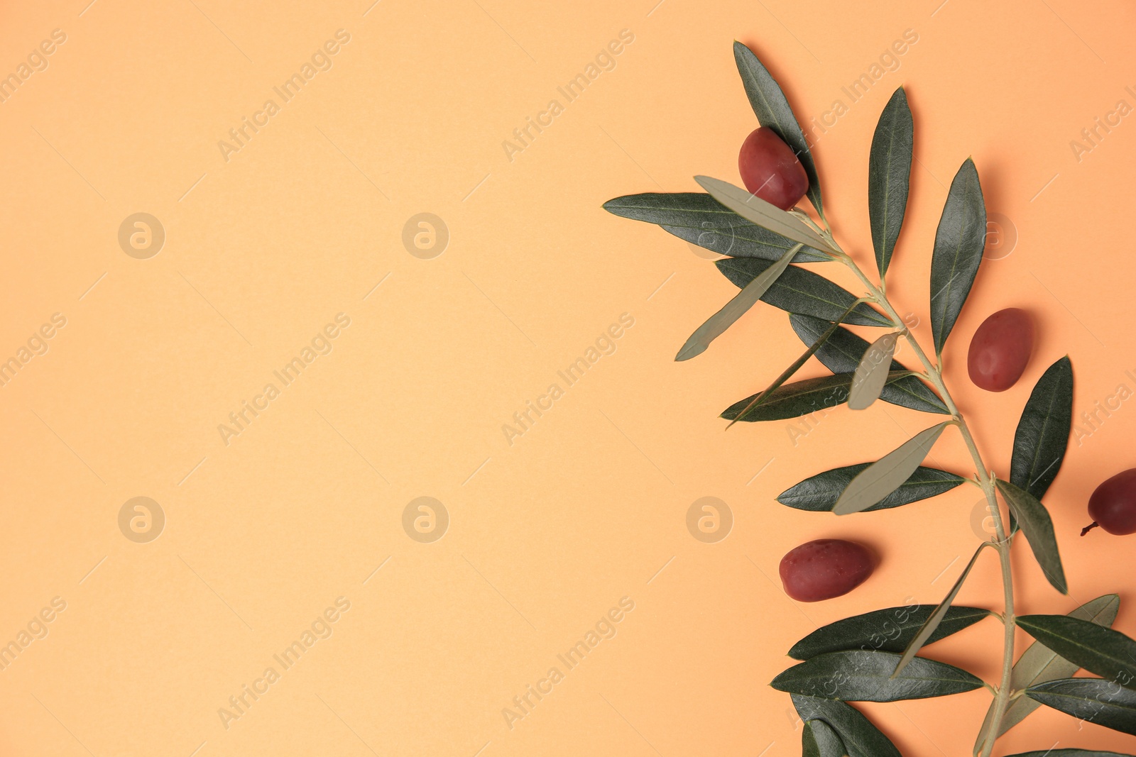 Photo of Fresh olives and green leaves on pale orange background, flat lay. Space for text