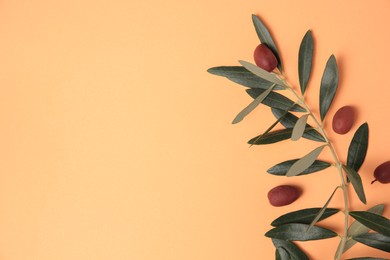 Fresh olives and green leaves on pale orange background, flat lay. Space for text