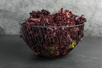 Metal bowl with red coral lettuce on grey table