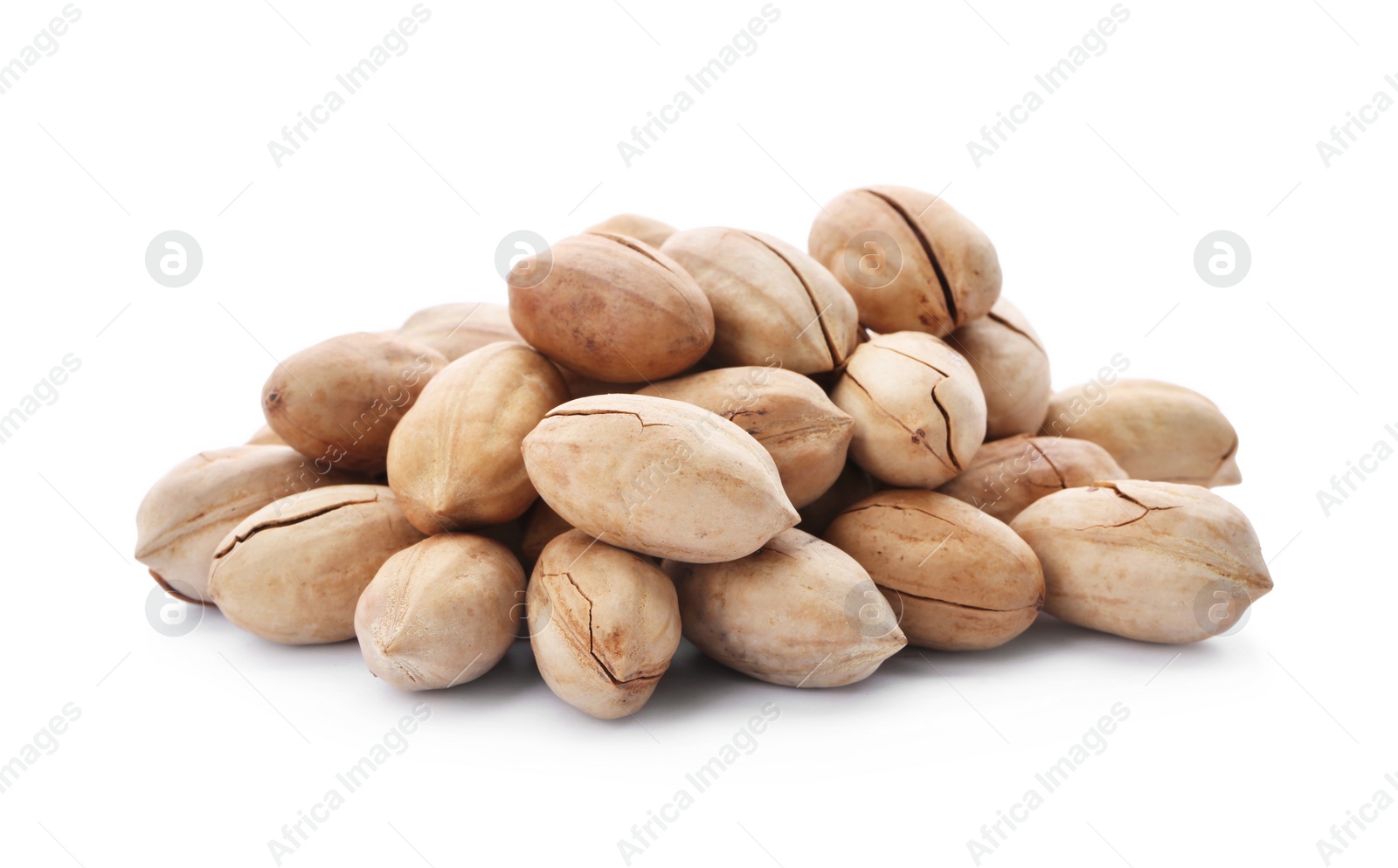 Photo of Heap of pecan nuts in shell on white background