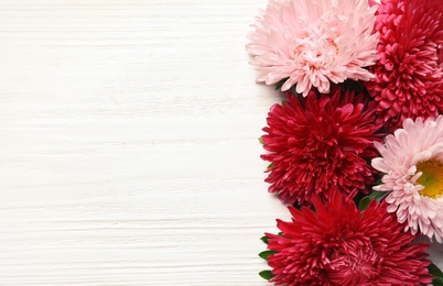 Photo of Beautiful aster flowers and space for text on wooden background, flat lay