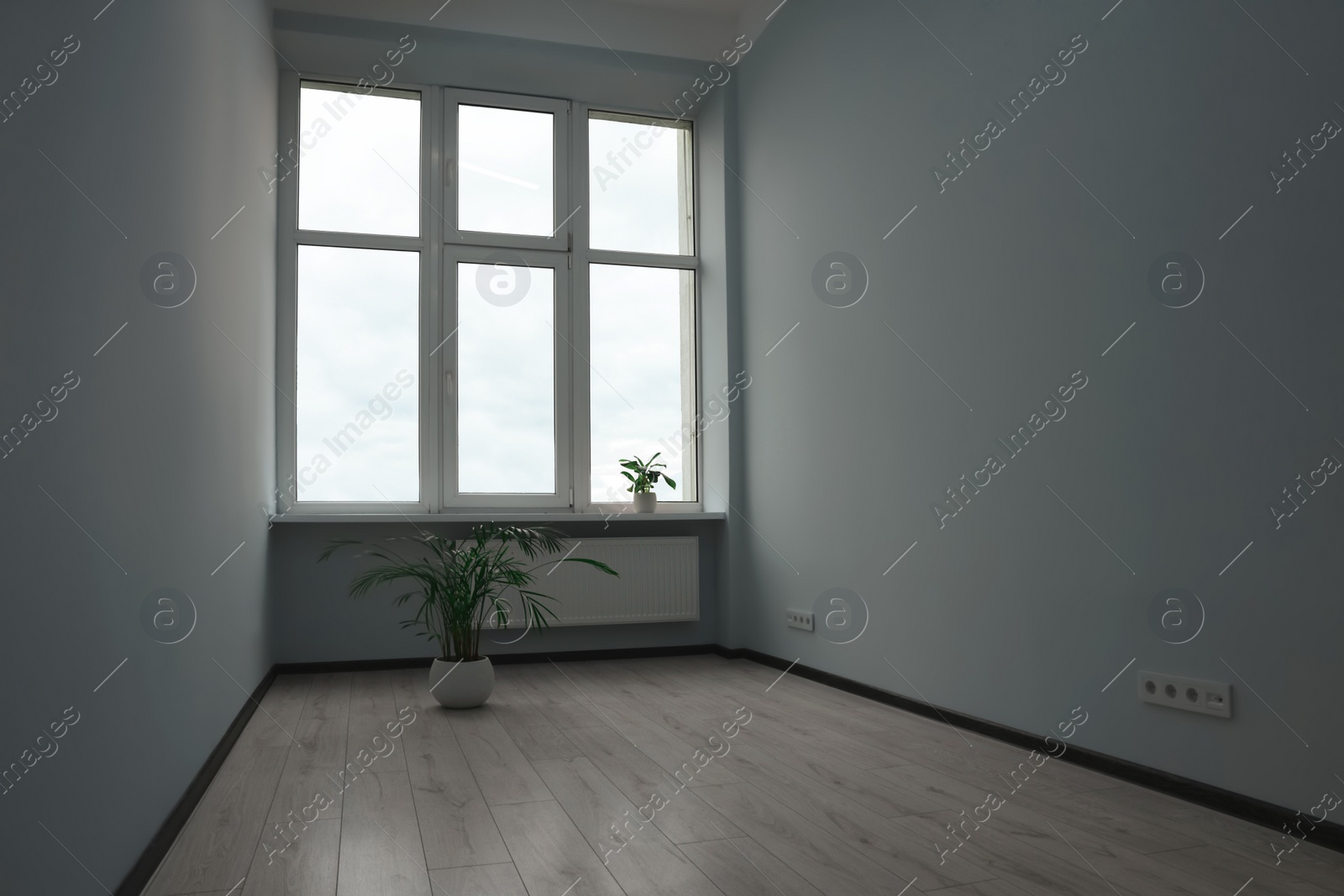 Photo of Empty office room with windows and potted houseplants