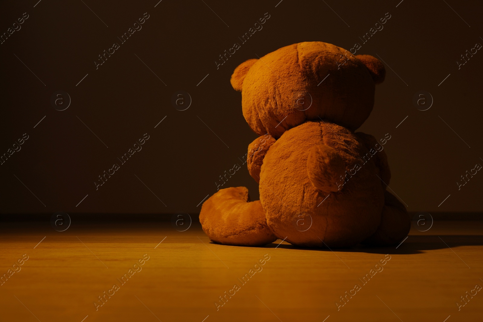 Photo of Cute lonely teddy bear on floor in dark room, back view. Space for text
