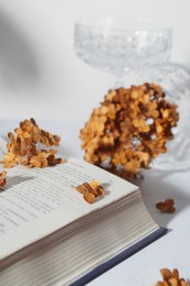 Photo of Dried hortensia flowers and book on white table, closeup