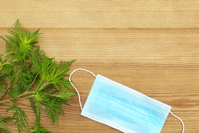 Photo of Flat lay composition with ragweed plant (Ambrosia genus) on wooden background, space for text. Seasonal allergy