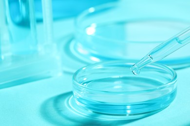 Photo of Dripping liquid from pipette into petri dish at light blue table, closeup. Laboratory analysis