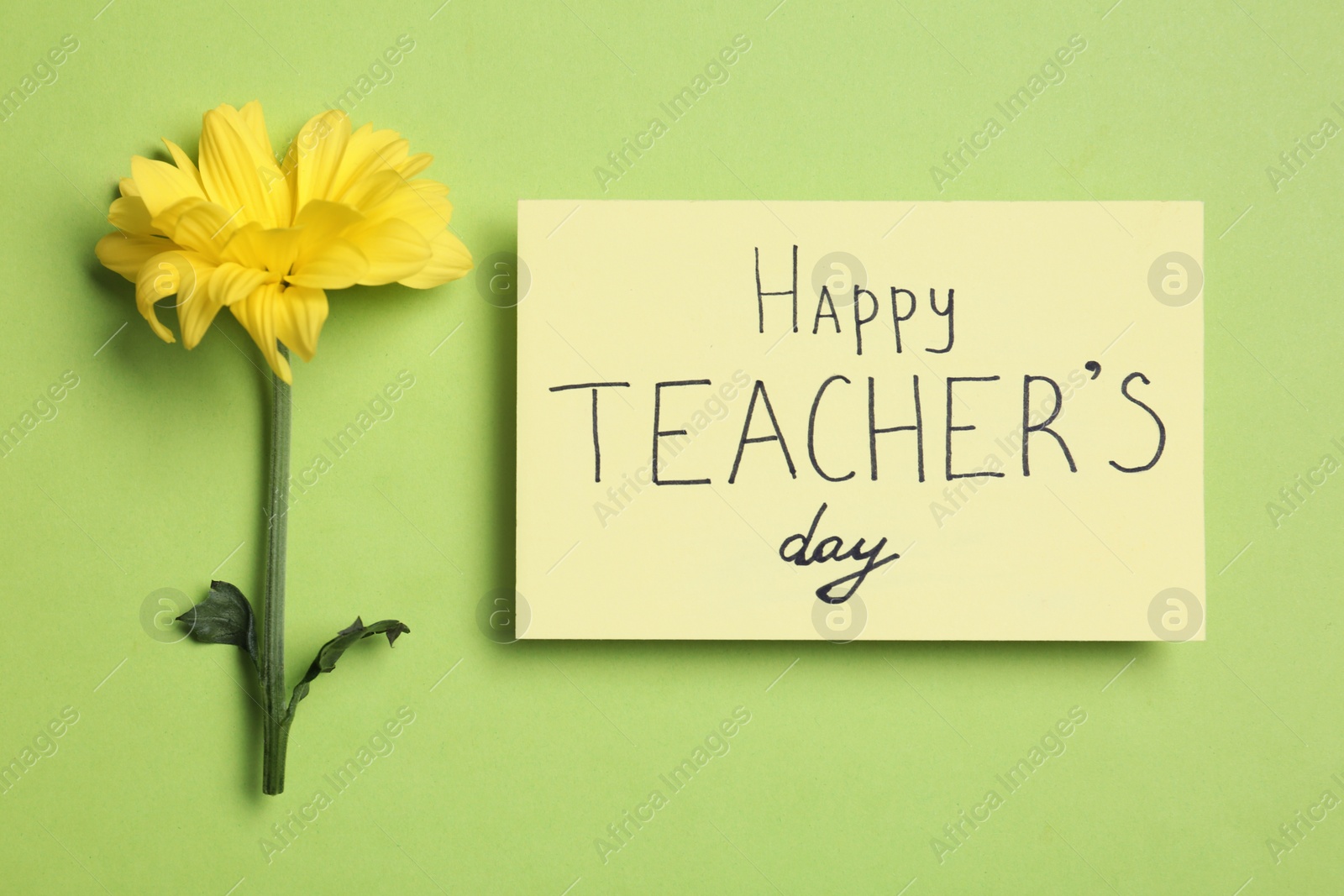 Photo of Paper with inscription HAPPY TEACHER'S DAY and flower on light green background, flat lay