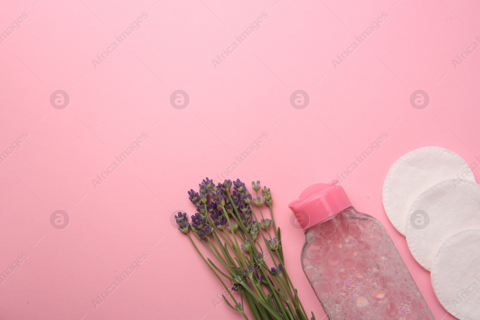 Photo of Bottle of makeup remover, cotton pads and lavender on pink background, flat lay. Space for text