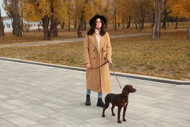 Woman in protective mask with German Shorthaired Pointer in park. Walking dog during COVID-19 pandemic