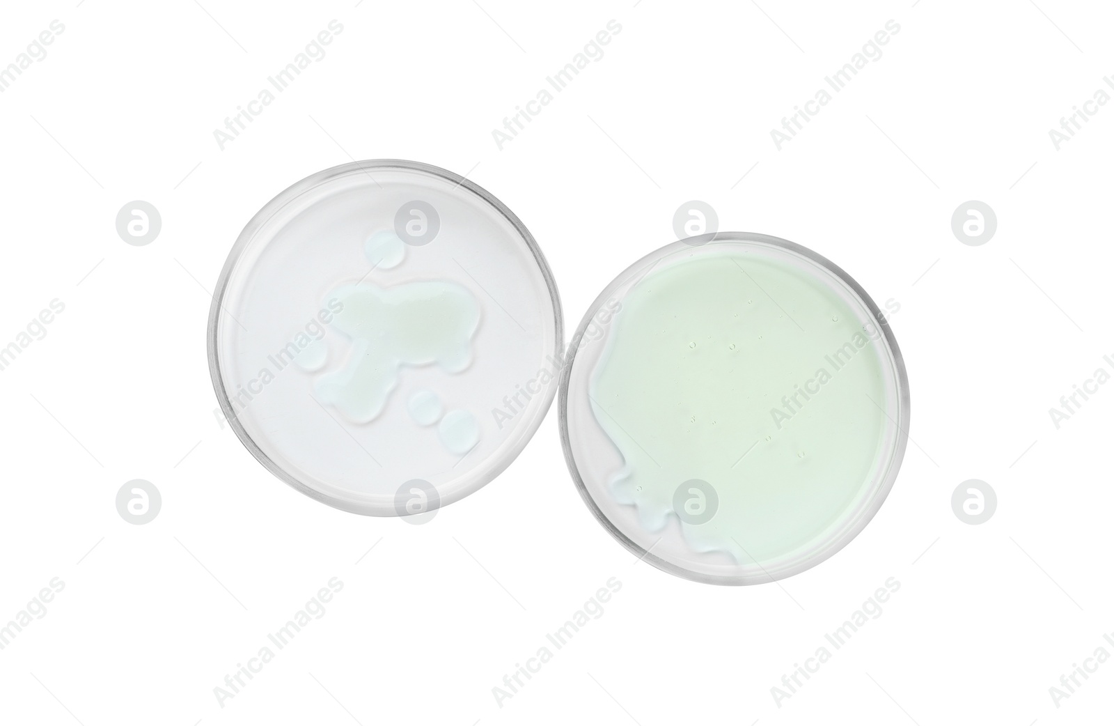 Photo of Petri dishes with different liquids on white background, top view