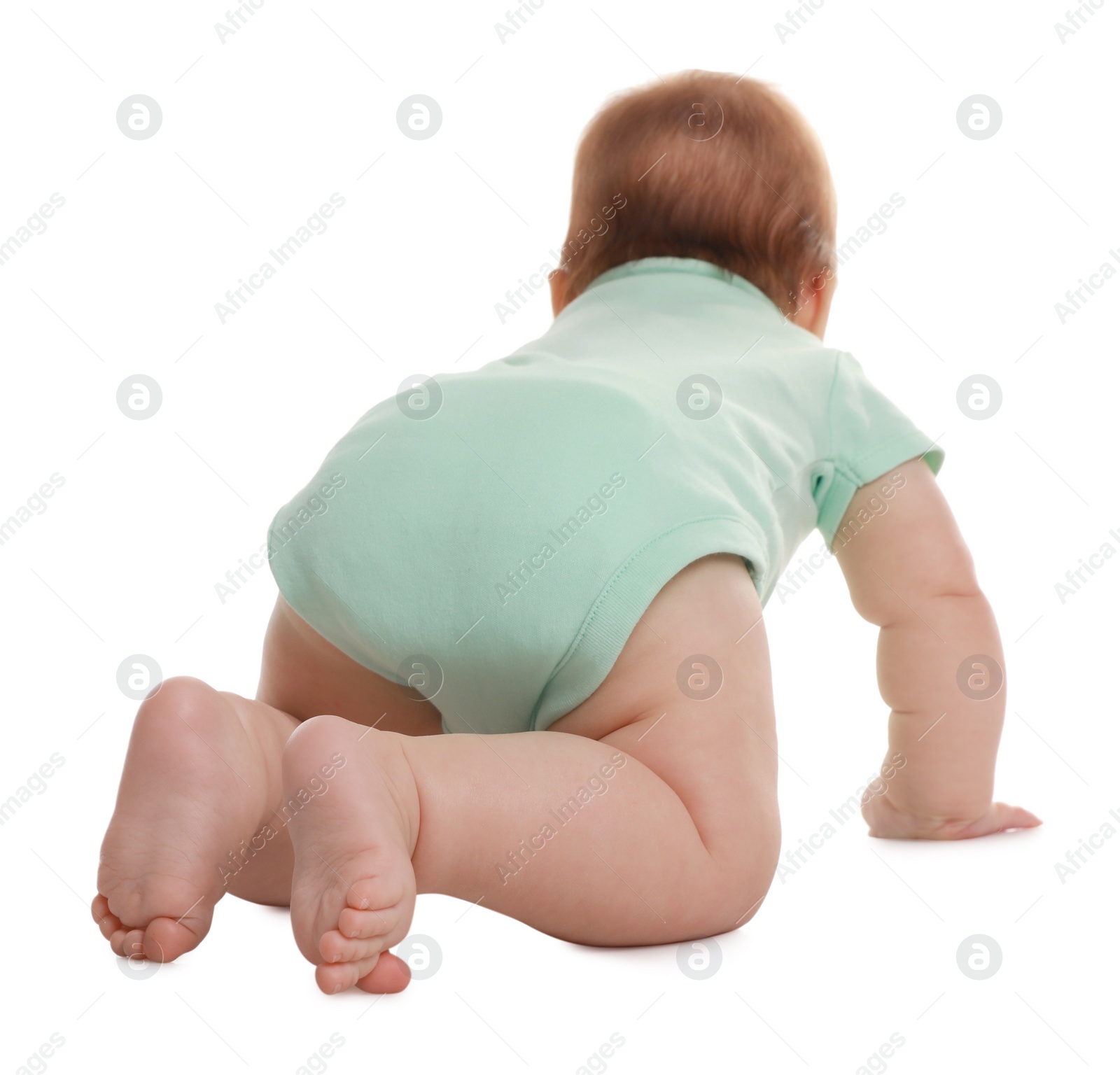 Photo of Cute little baby crawling on white background, back view