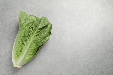 Photo of Fresh green romaine lettuce on light grey table, top view. Space for text