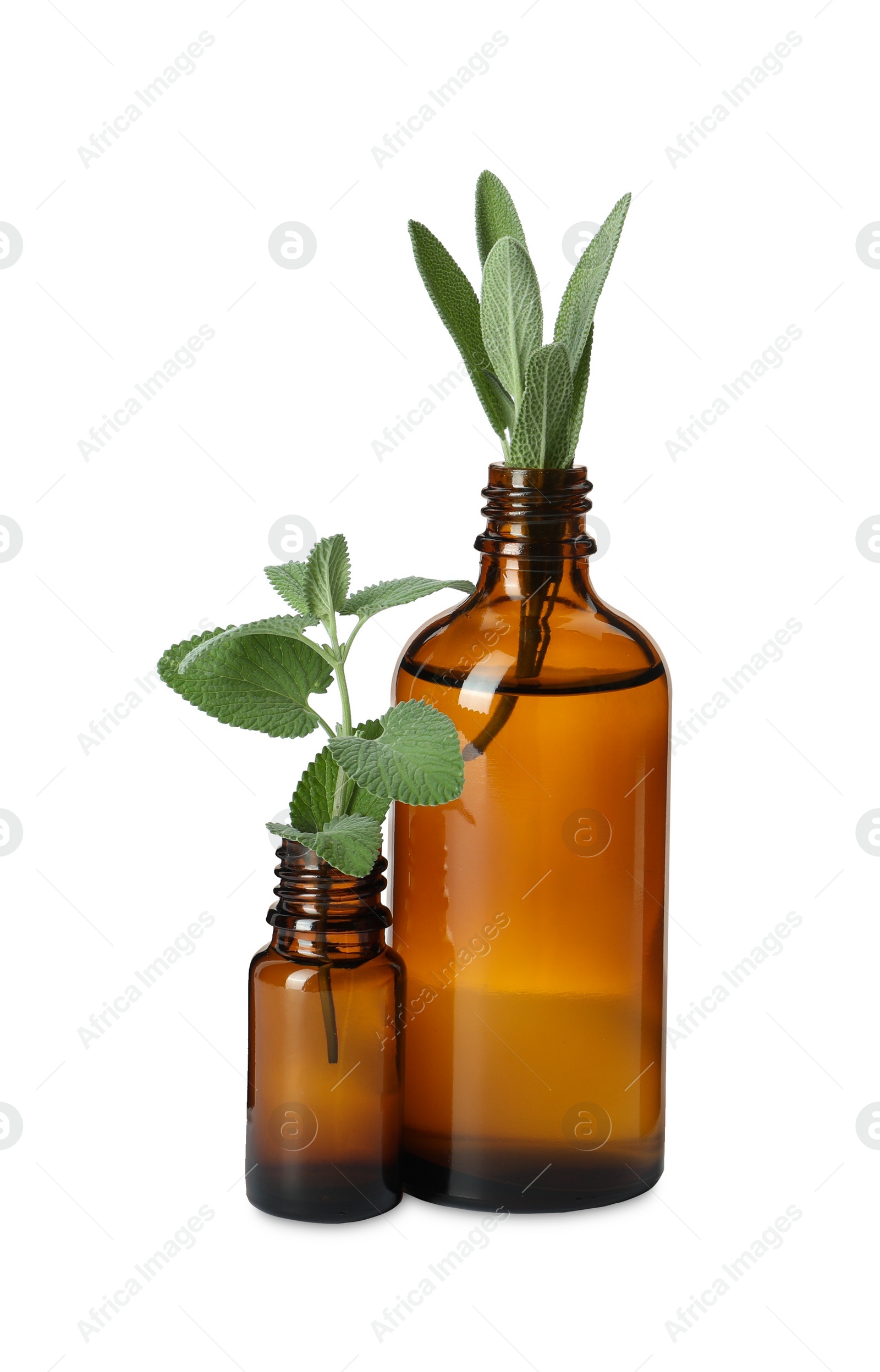 Photo of Bottle of essential oil with mint and rosemary isolated on white
