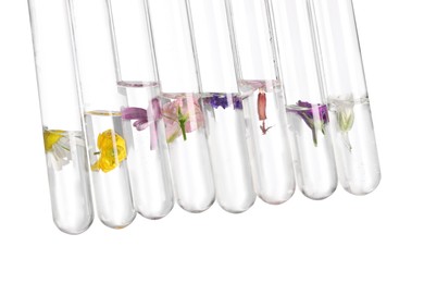 Photo of Test tubes with different flowers on white background. Essential oil extraction