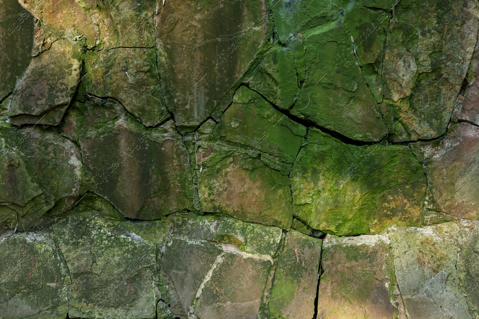 Photo of Stone wall overgrown with green moss outdoors