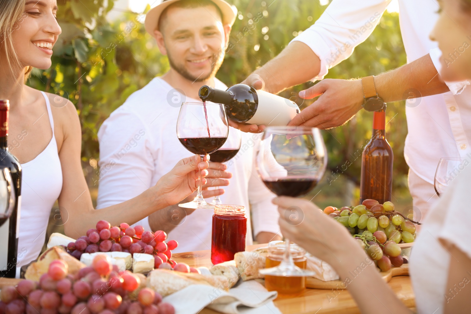 Photo of Friends holding glasses of wine and having fun in vineyard, closeup