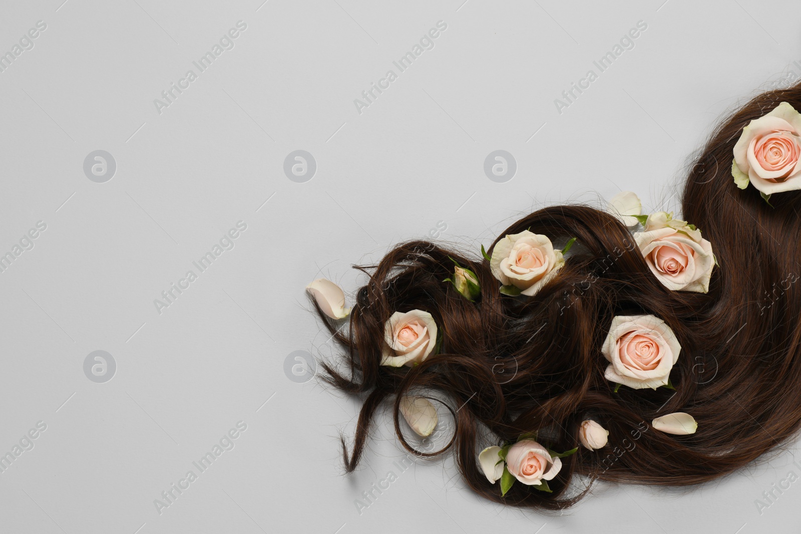 Photo of Lock of healthy brown hair with flowers on light grey background, flat lay. Space for text