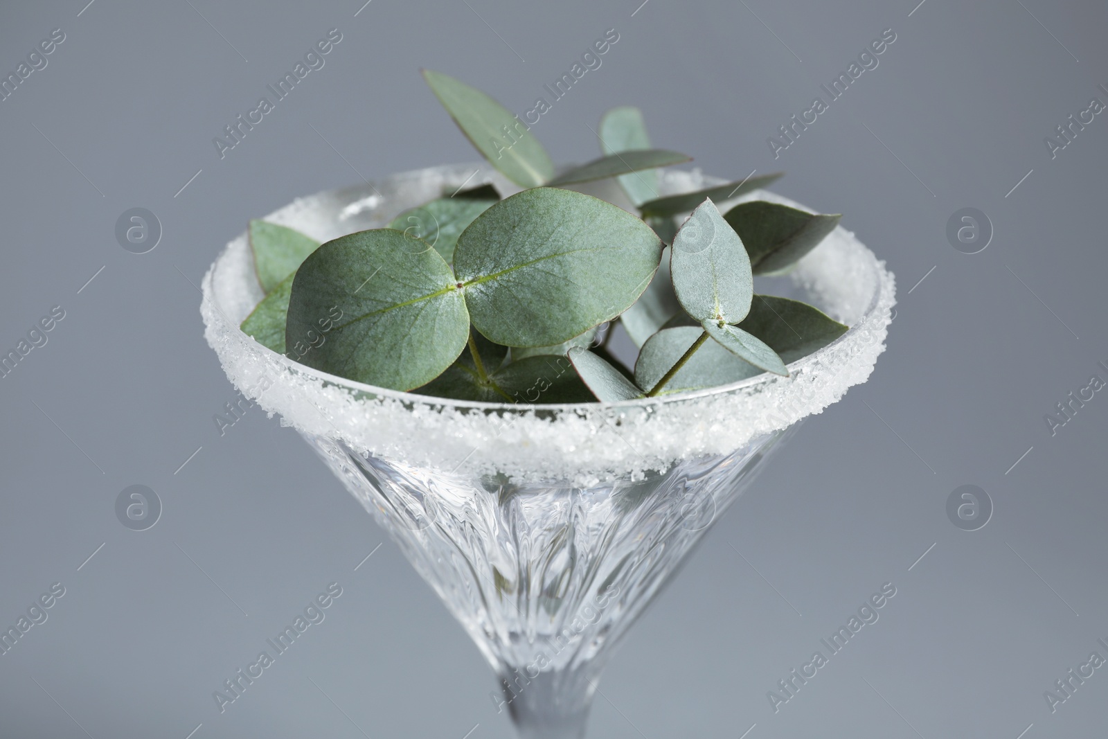 Photo of Beautiful martini glass with sugar rim and eucalyptus leaves on grey background, closeup