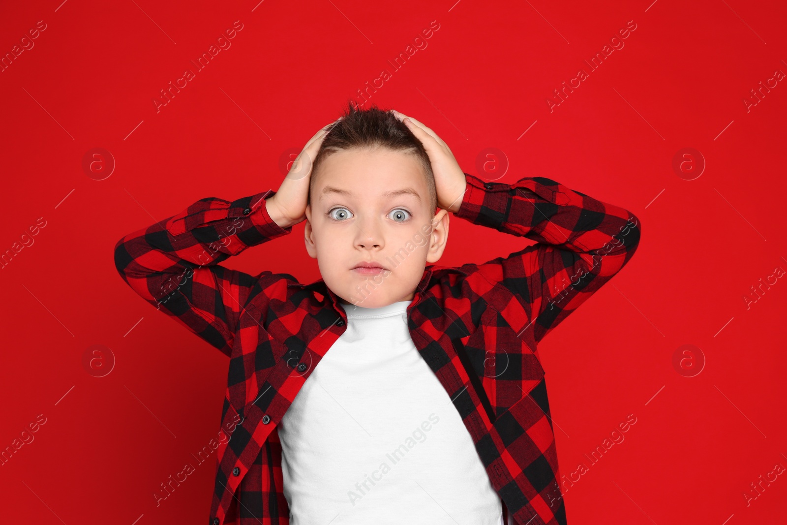 Photo of Portrait of emotional little boy on red background