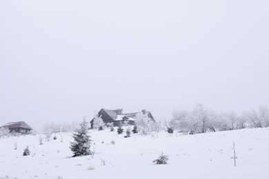 Photo of Picturesque landscape with houses, trees and plants on snowy day