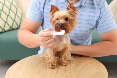 Photo of Man brushing dog's teeth on wooden table, closeup