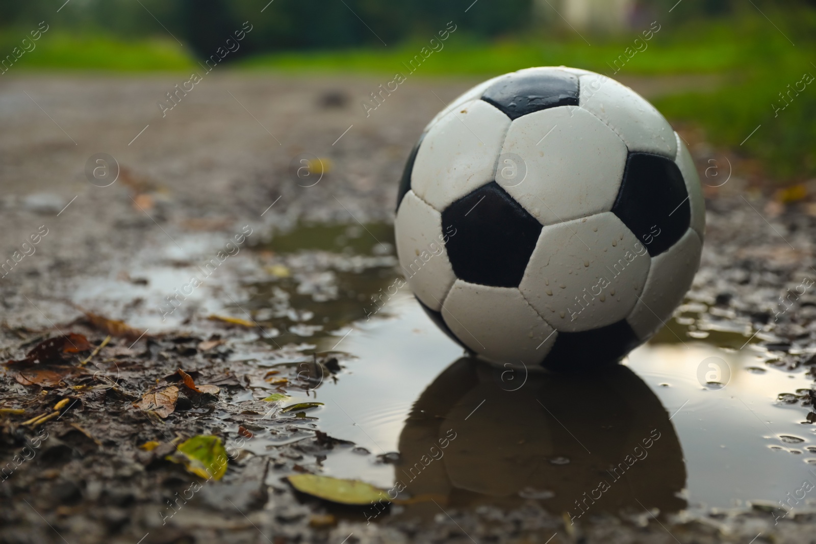 Photo of Leather soccer ball in puddle outdoors, space for text