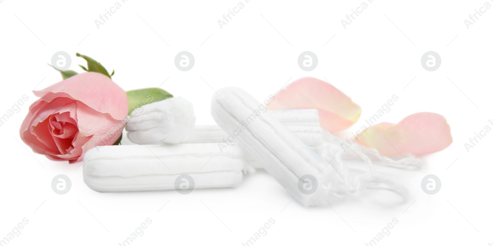 Photo of Tampons and beautiful rose on white background