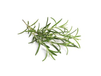 Photo of Sprig of fresh rosemary isolated on white