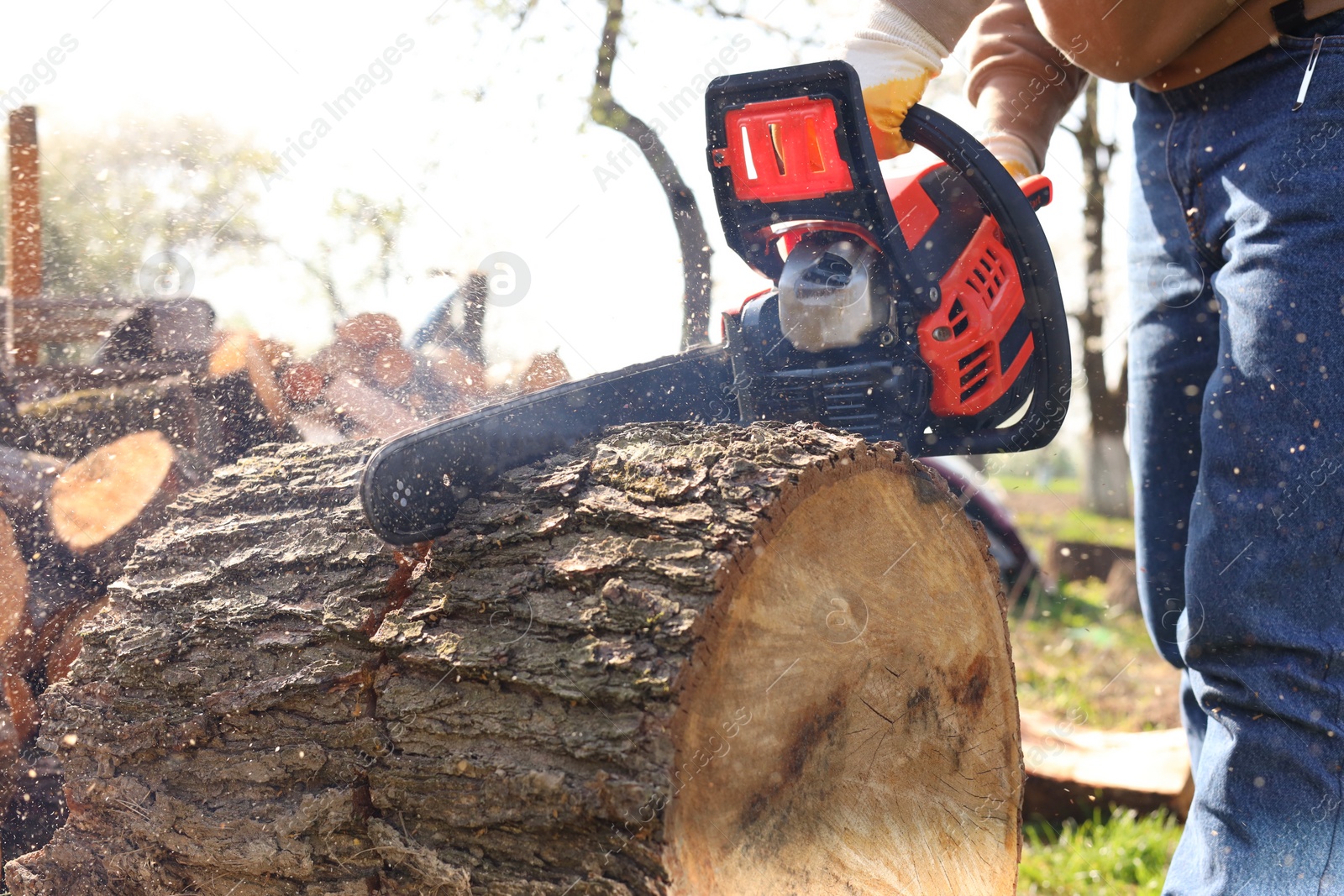 Photo of Man sawing wooden log on sunny day, closeup