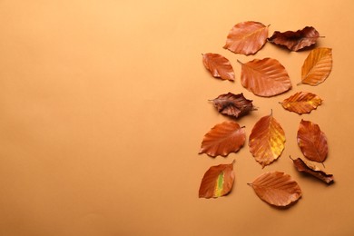 Photo of Dry autumn leaves on pale orange background, flat lay. Space for text