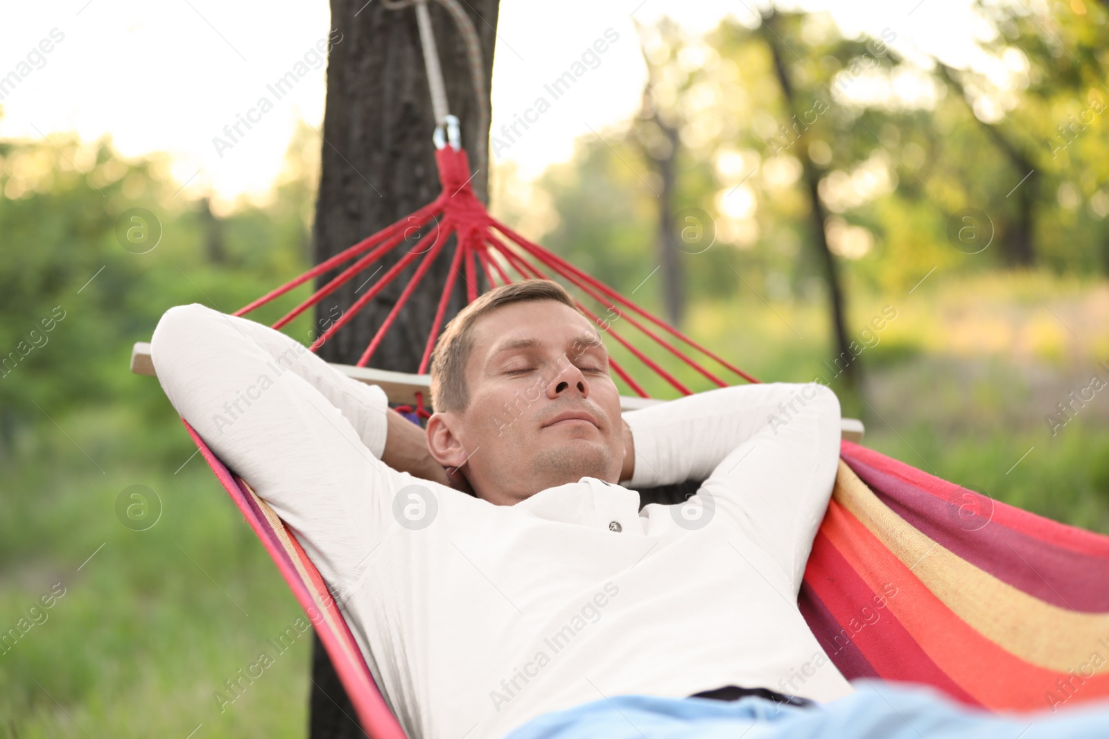 Photo of Man resting in comfortable hammock at green garden