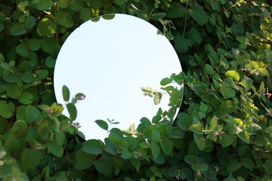 Photo of Round mirror among bush branches reflecting sky
