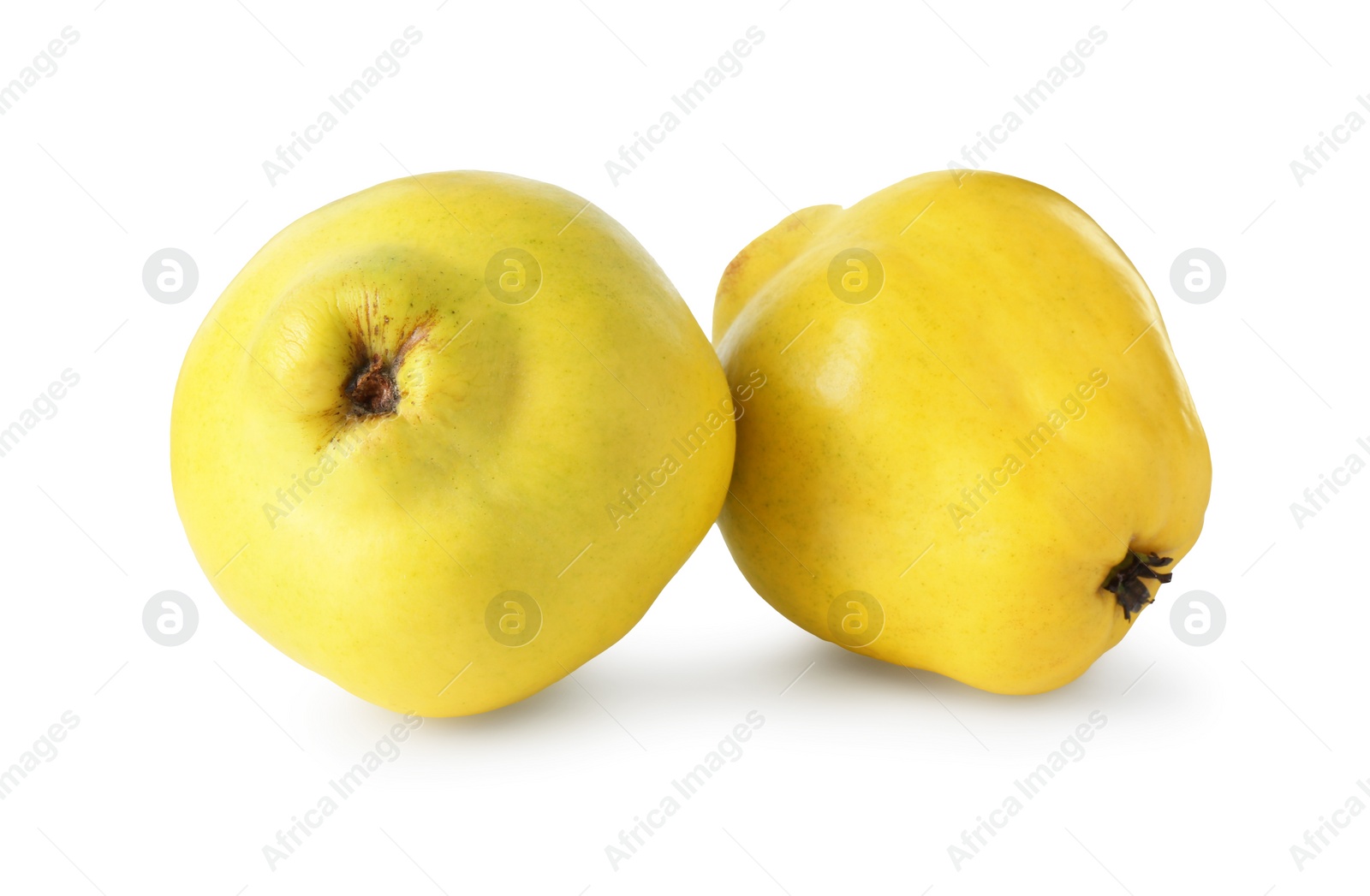 Photo of Delicious fresh ripe quinces isolated on white