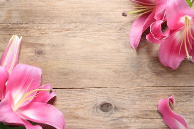 Photo of Beautiful pink lily flowers on wooden table, flat lay. Space for text