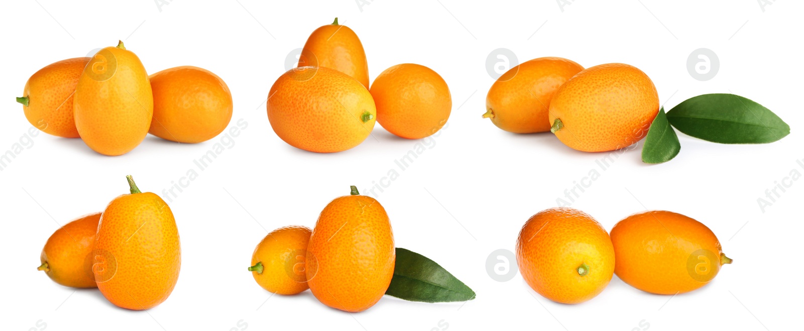 Image of Set with fresh ripe kumquat fruits on white background. Banner design