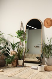 Photo of Stylish full length mirror and different houseplants near white wall in room
