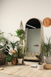 Stylish full length mirror and different houseplants near white wall in room