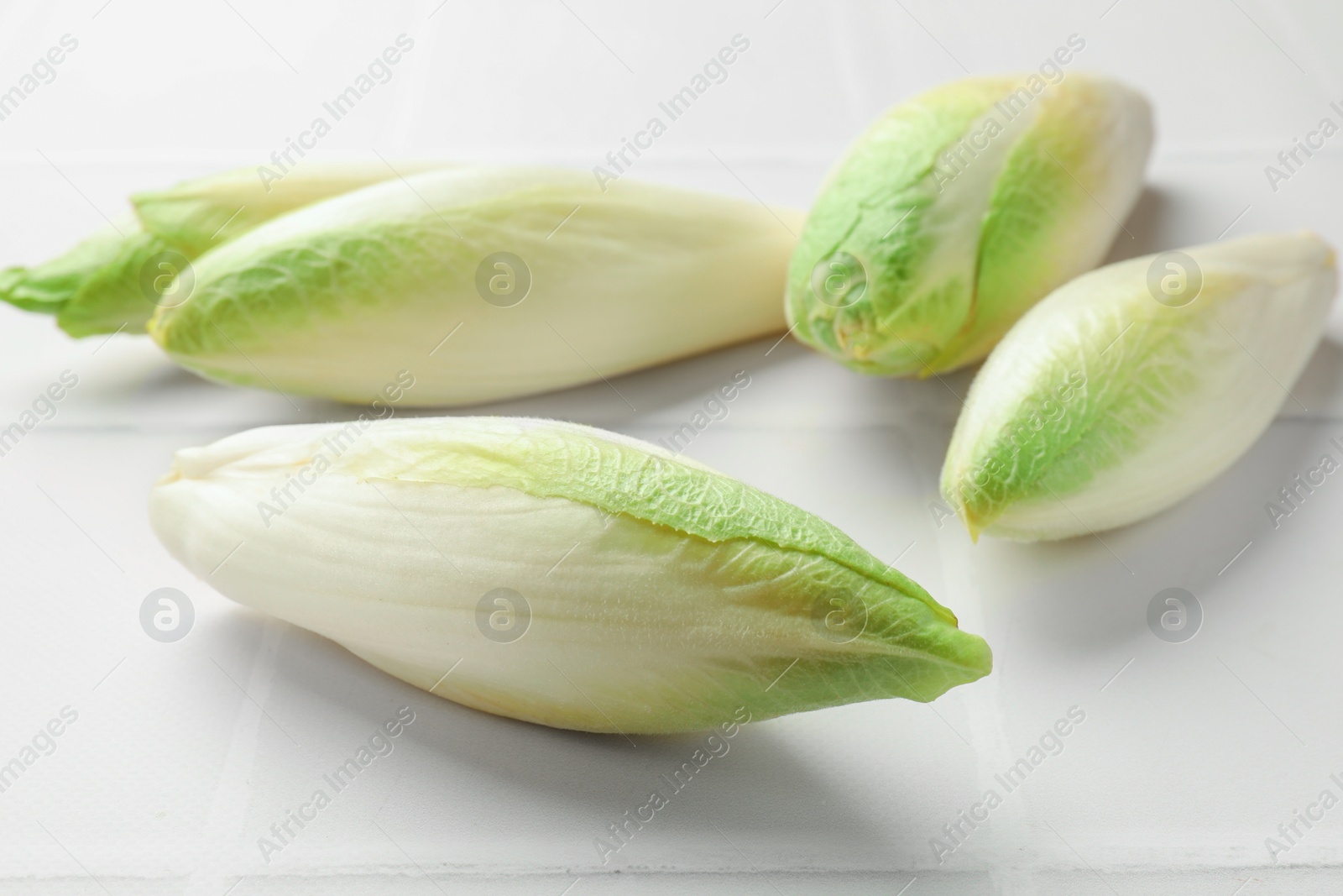 Photo of Fresh raw Belgian endives (chicory) on white tiled table, closeup