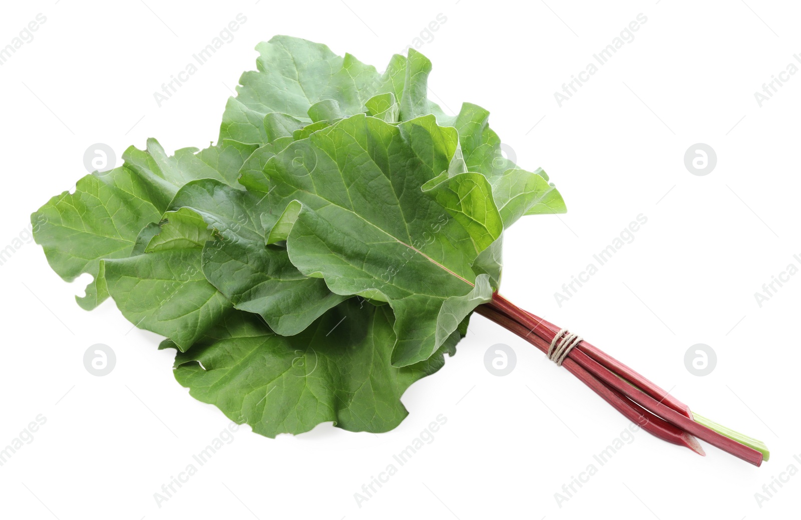 Photo of Fresh rhubarb stalks with leaves isolated on white, top view