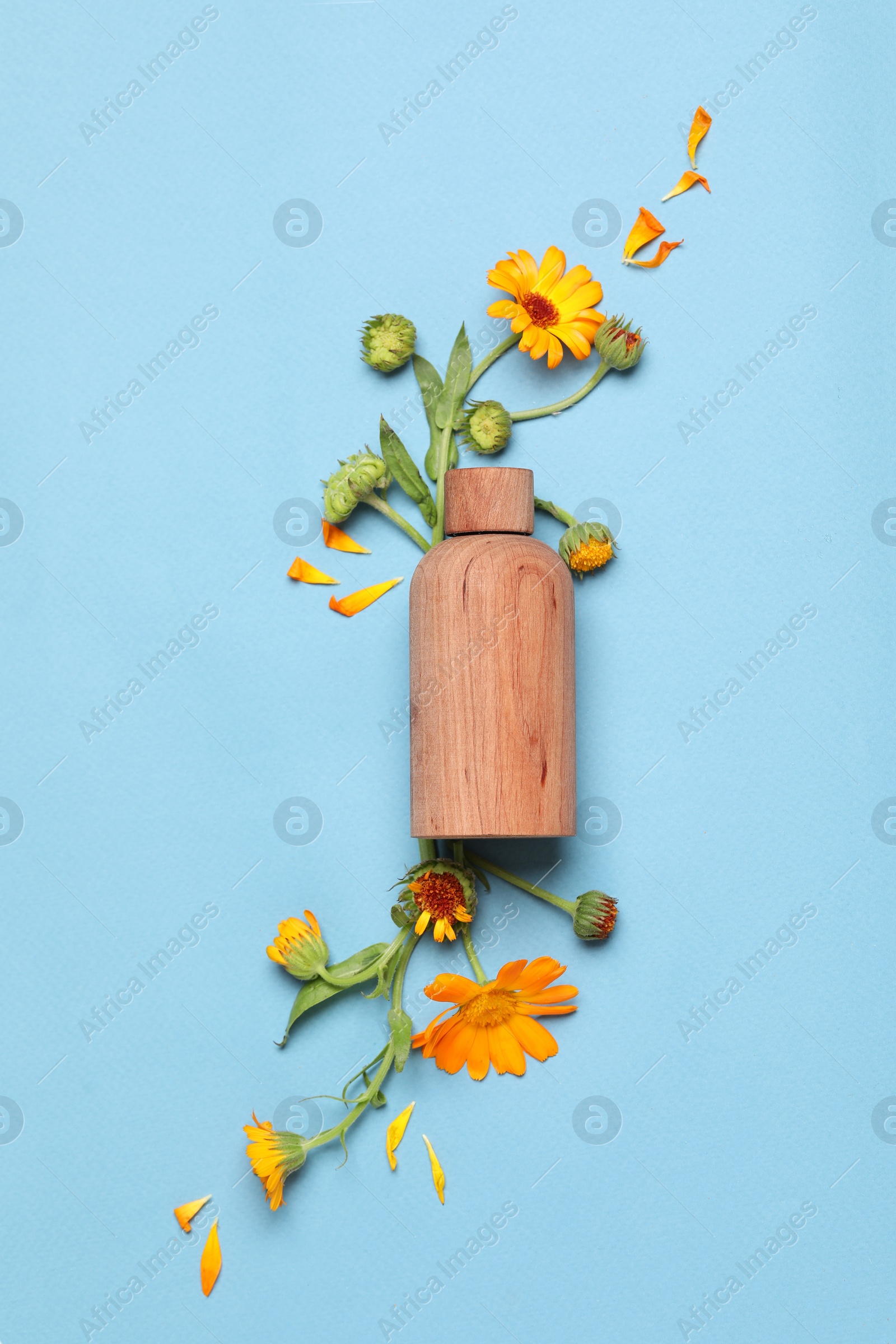 Photo of Bottle of essential oil and beautiful calendula flowers on light blue background, flat lay