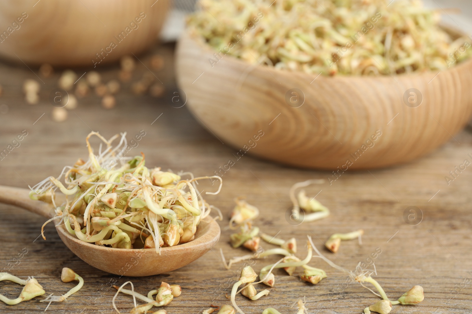 Photo of Spoon of sprouted green buckwheat on wooden table, closeup